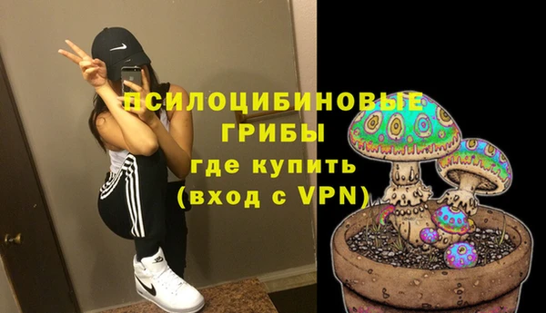 mdpv Беломорск