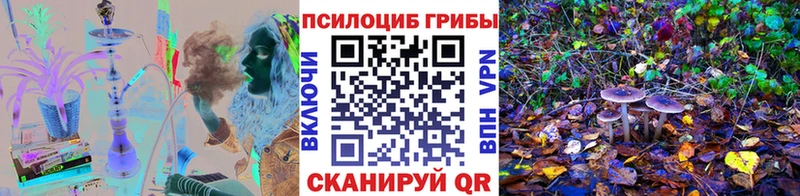 Псилоцибиновые грибы мухоморы  наркошоп  Олёкминск 